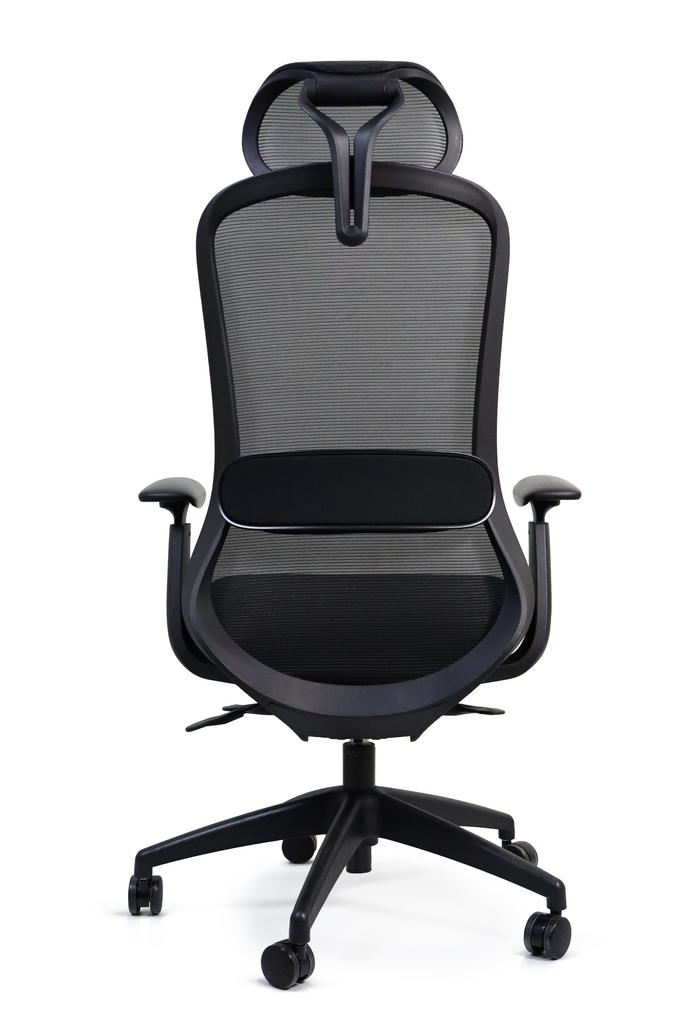 Sillón Ergonómico para Oficina CORSEGA C - Ergo